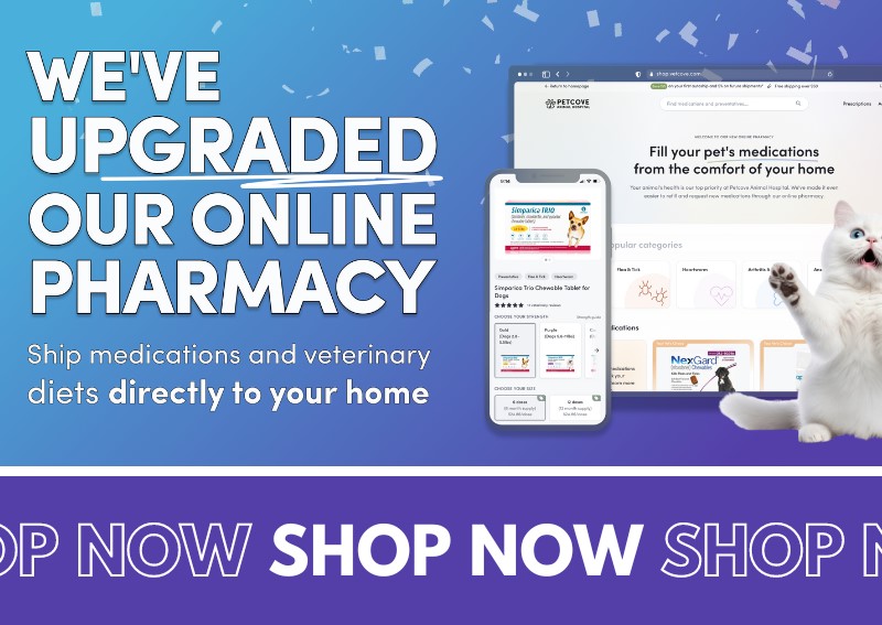 Carousel Slide 10: WE HAVE AN ONLINE PHARMACY!